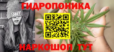 мдпв Обь