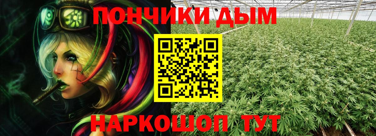 Канабис план Советский